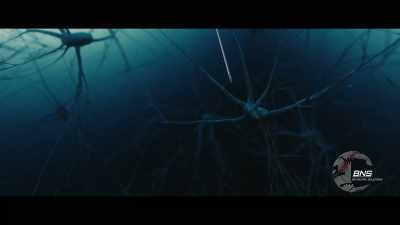 Imagine a tiny needle
containing a rolled-up mesh - Remnant
