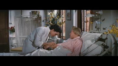 Imagine being bitten by a centipede in this day and age - Love Is a Many Splendored Thing