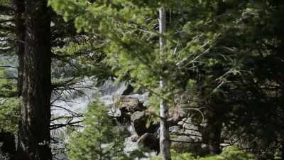 Imagine making your
camp right here, - Yellowstone: One-Fifty