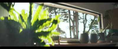 Imagine if your windows
are solar glass - 2040