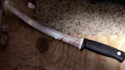 Immediately we started
screaming to drop the knife. - Interrogation Raw