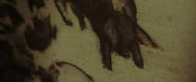Immediately the entire herd goes
crazy and commits mass suicide - Immanence