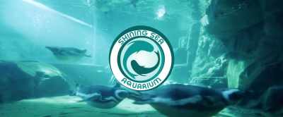Immerse yourself in imagination
and observe our oceans - Aquarium of the Dead