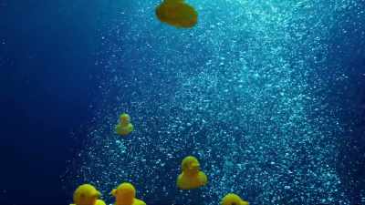 In 1992, - Blue Planet II