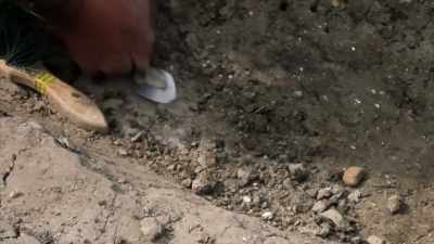 In 2013, a team of archeologists - Ancient Engineering