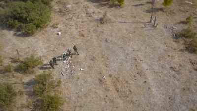 In 2013,
over 200 elephants were poisoned. - A Year on Planet Earth