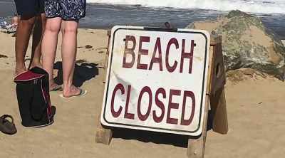 In 2018, there was a deadly
attack on a Cape Cod swimmer, - Shark Attack Files