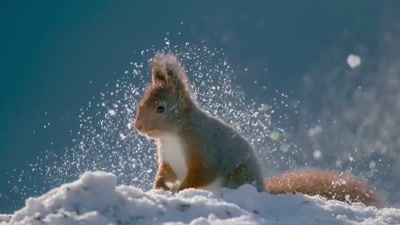 In 365 days from now, - A Year on Planet Earth