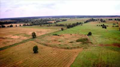 In 571BCE, - Curse of the Ancients with Alice Roberts