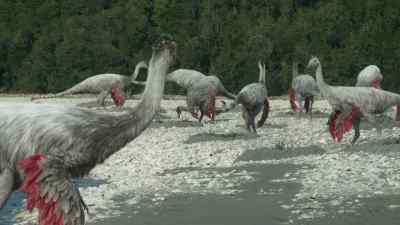 In a crowded colony,
there's always another potential victim. - Prehistoric Planet