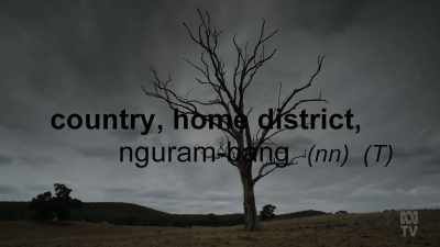 In a fight to stop a mine
It leads her to Albert's dictionary - - Books That Made Us