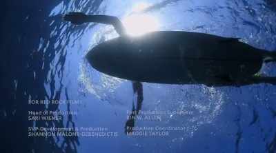 In a man-versus-shark battle,
wits and courage can help. - Shark Attack Files