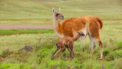 In a matter of just two weeks, - Our Great National Parks