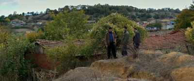 In a palace or a hut, - The Wild Pear Tree