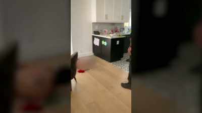 In a shocking twist,
they discovered - Neighborhood Wars