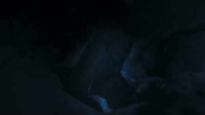 In a single night, - Planet Earth III