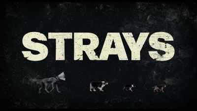 In addition to the multiple facial lacerations - Strays
