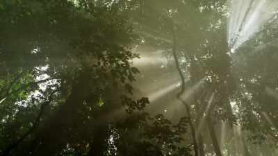 In Africa's Virunga National Park, - Seven Worlds, One Planet