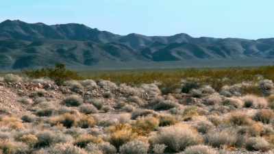 IN ALL THAT DESERT, - Bloodlands