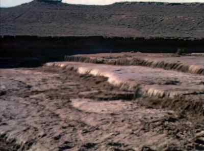 In all these endless
miles of space, - The Living Desert