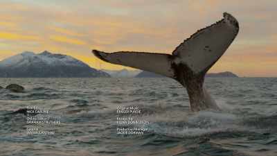 In an age before magnetic
navigation, Vikings lost at sea - Wild Ways of the Vikings
