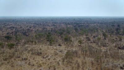 'In an area as vast as Hwange, - A Year on Planet Earth