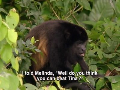 >> ...in any challenges? - Survivor