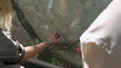 In this area and then
the main corridor comes down here, - In the Footsteps of Elephant
