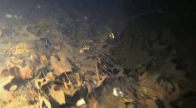 In this area, what we're
really worried most about
today, - Sewer Divers