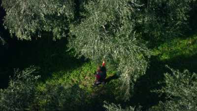 In autumn, he and his neighbors - Europe From Above