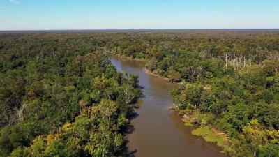 In Bayou Postillion,
Jacob and Don have their sights - Swamp People