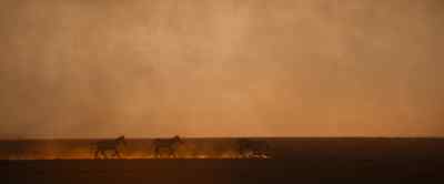 In Botswana, - Our Universe
