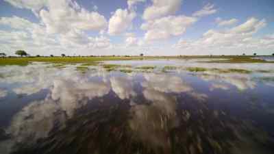 In Botswana's Okavango Delta, - Predators