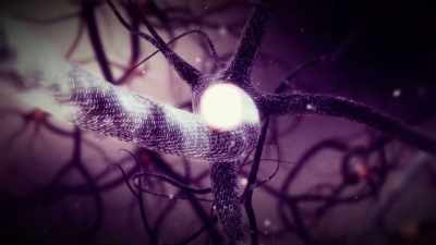 In your brain,
you have long neurons - Do You Trust this Computer?