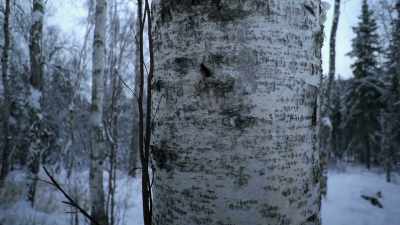 In this case, if I
don't control it perfectly, - Life Below Zero: Next Generation