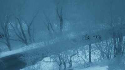 In this case, the icy road proves fatal. - Seven Worlds, One Planet