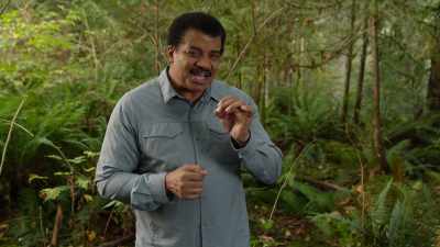In certain cases, it releases
the precise pheromone that - Cosmos: Possible Worlds