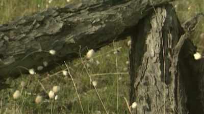 In Chernobyl, - Chernobyl: The Invisible Enemy