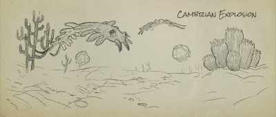 In conventional Paleontology, - Is Genesis History?