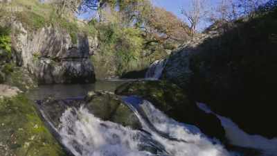In England and Wales,
the situation is critical, - Wild Isles