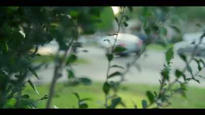 In my eyes, I saw their relationship - I Am a Stalker