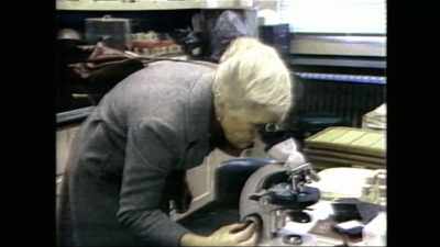 - In fact, dr. Diamond
found 73% more glial cells - The Man Who Stole Einstein's Brain