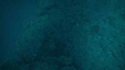 In fact, most hunts fail. - Prehistoric Planet