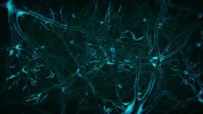 In fact, we now
think that epilepsy, - Cosmos: Possible Worlds