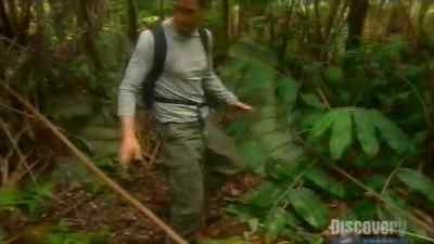 In fact this site
is not very good. - Man vs. Wild