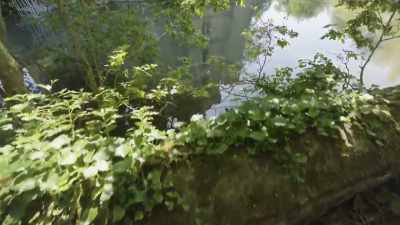 In fact, the main moat - Mysteries of the Abandoned
