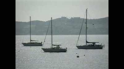 In fact,
West Cork is regarded as an international - Sophie: A Murder in West Cork