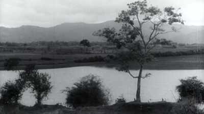 
In February of 1941, after three - The Vietnam War