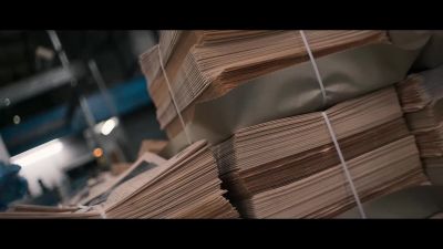 In February, there were new articles and allegations - Skandal! Bringing Down Wirecard