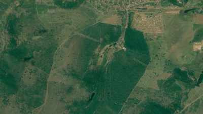 In five years, trees covered
the land again, - The Green Planet